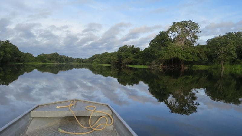 Jungle River Expedition